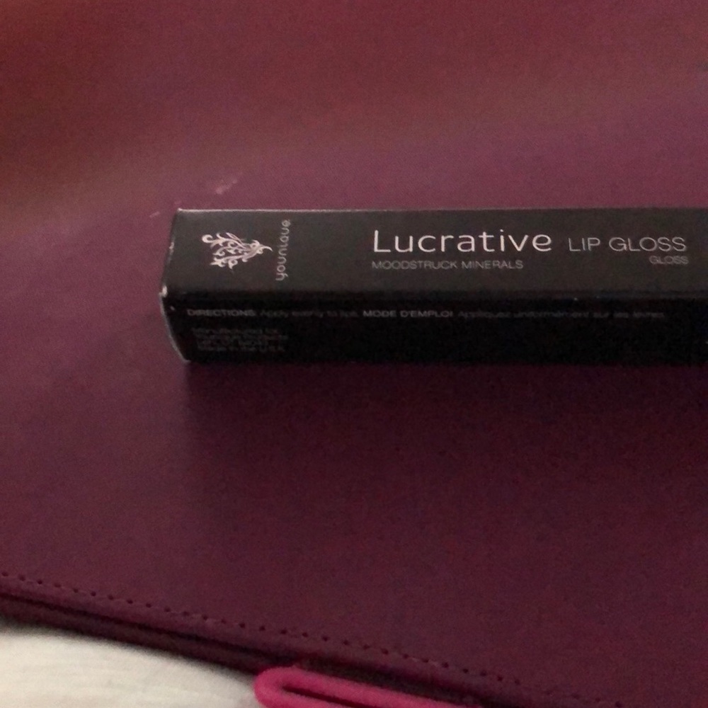 NWT Lip Gloss